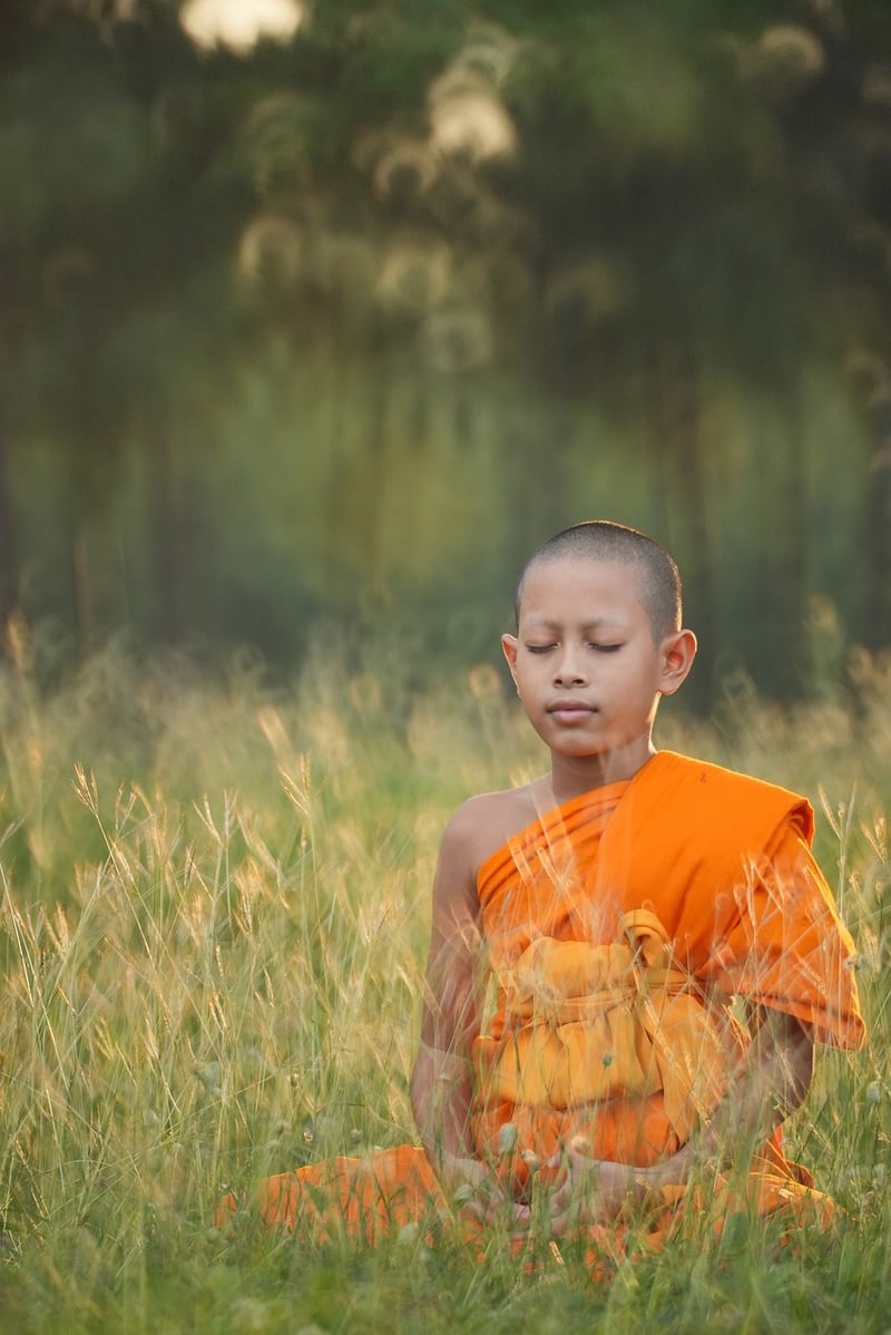 Ashtanga Yoga Pose